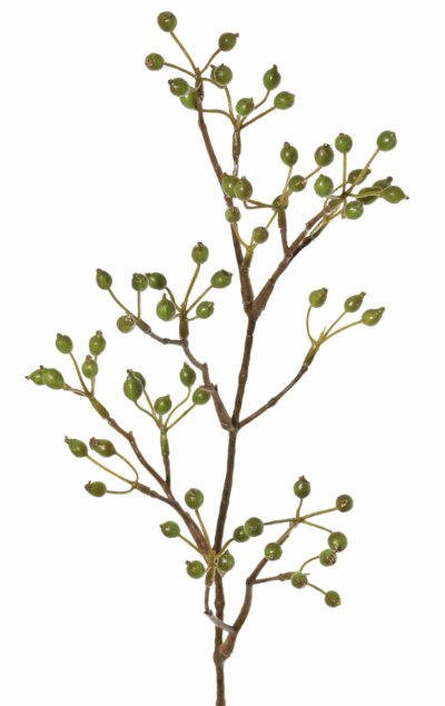 Rozenbotteltak mini groen 62 cm