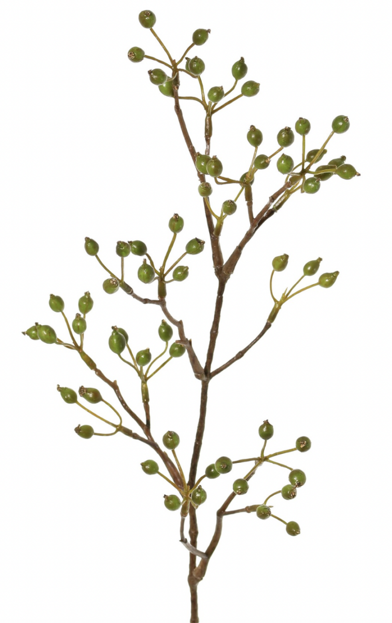 Rozenbotteltak mini groen 62 cm