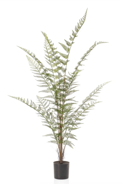 Varen forest fern 120 cm