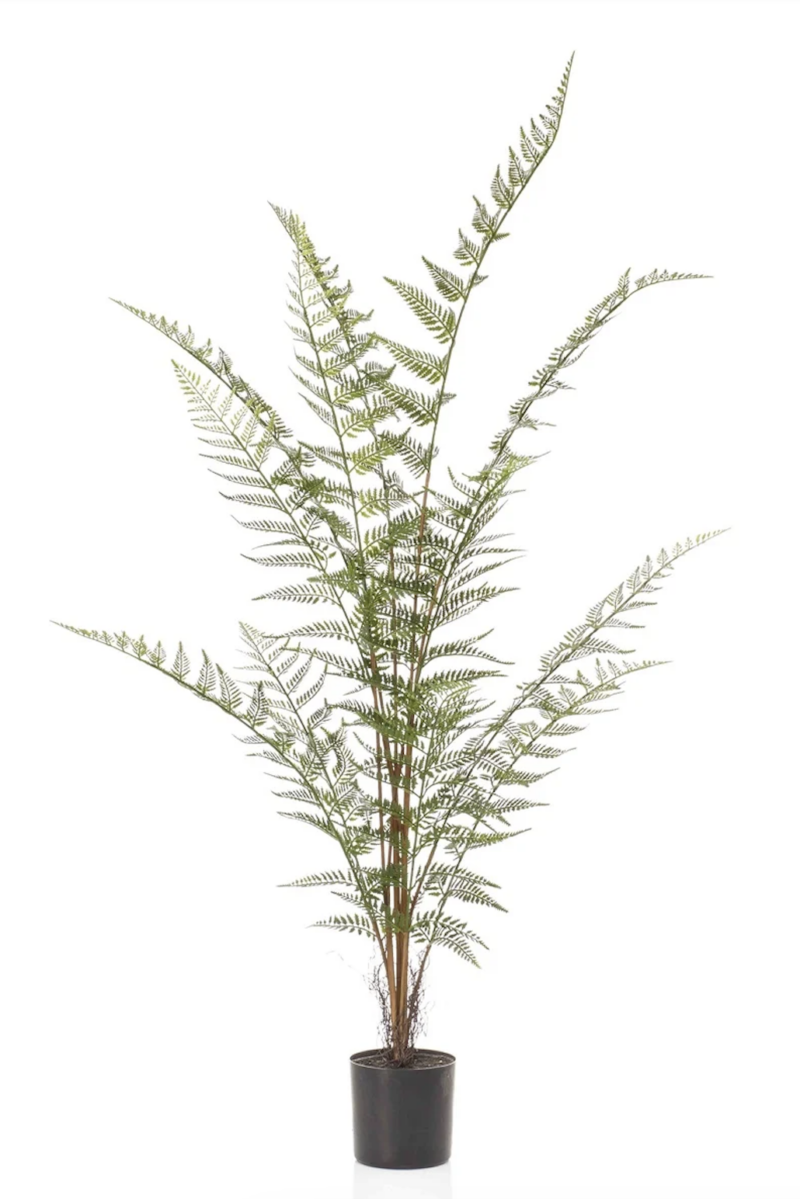 Varen forest fern 120 cm