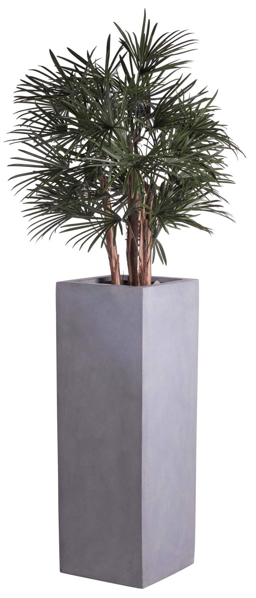 coral-gray