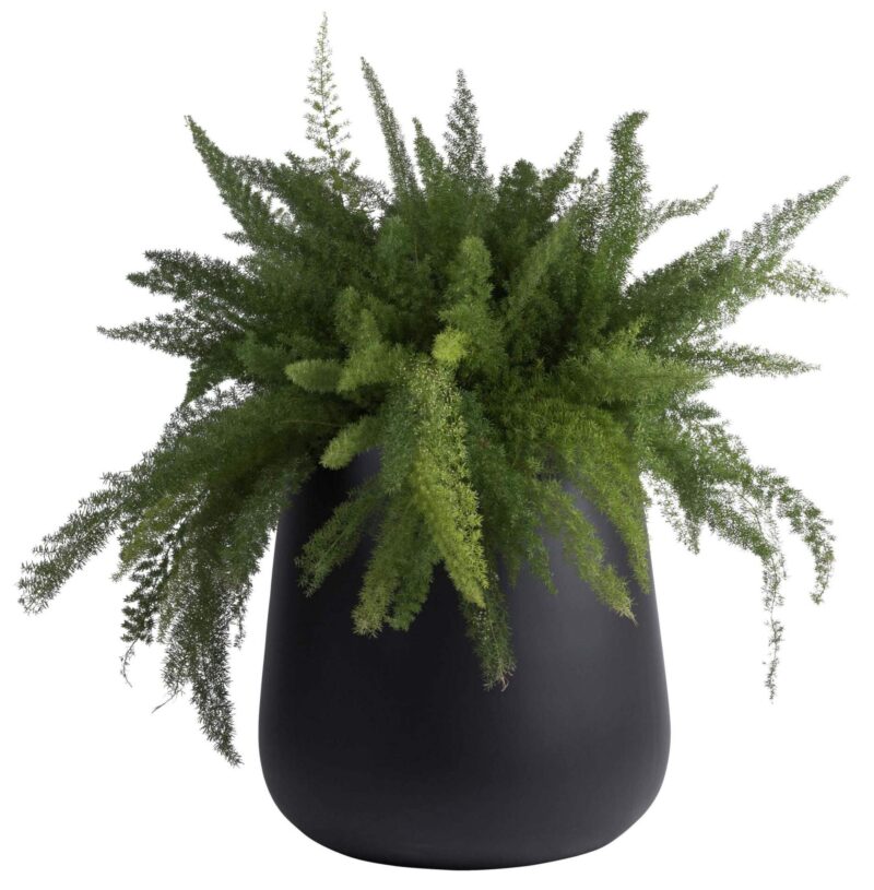 hippe zwarte bloempot