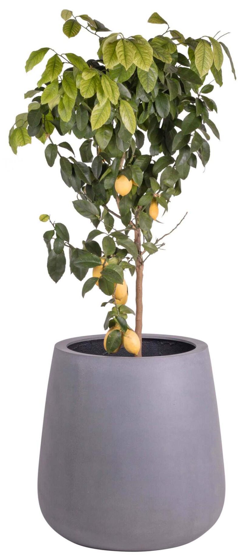 trendy grijze bloempot