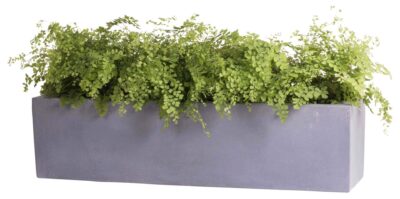 smalle brede plantenbak grijs