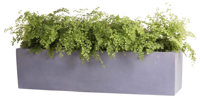 smalle brede plantenbak grijs