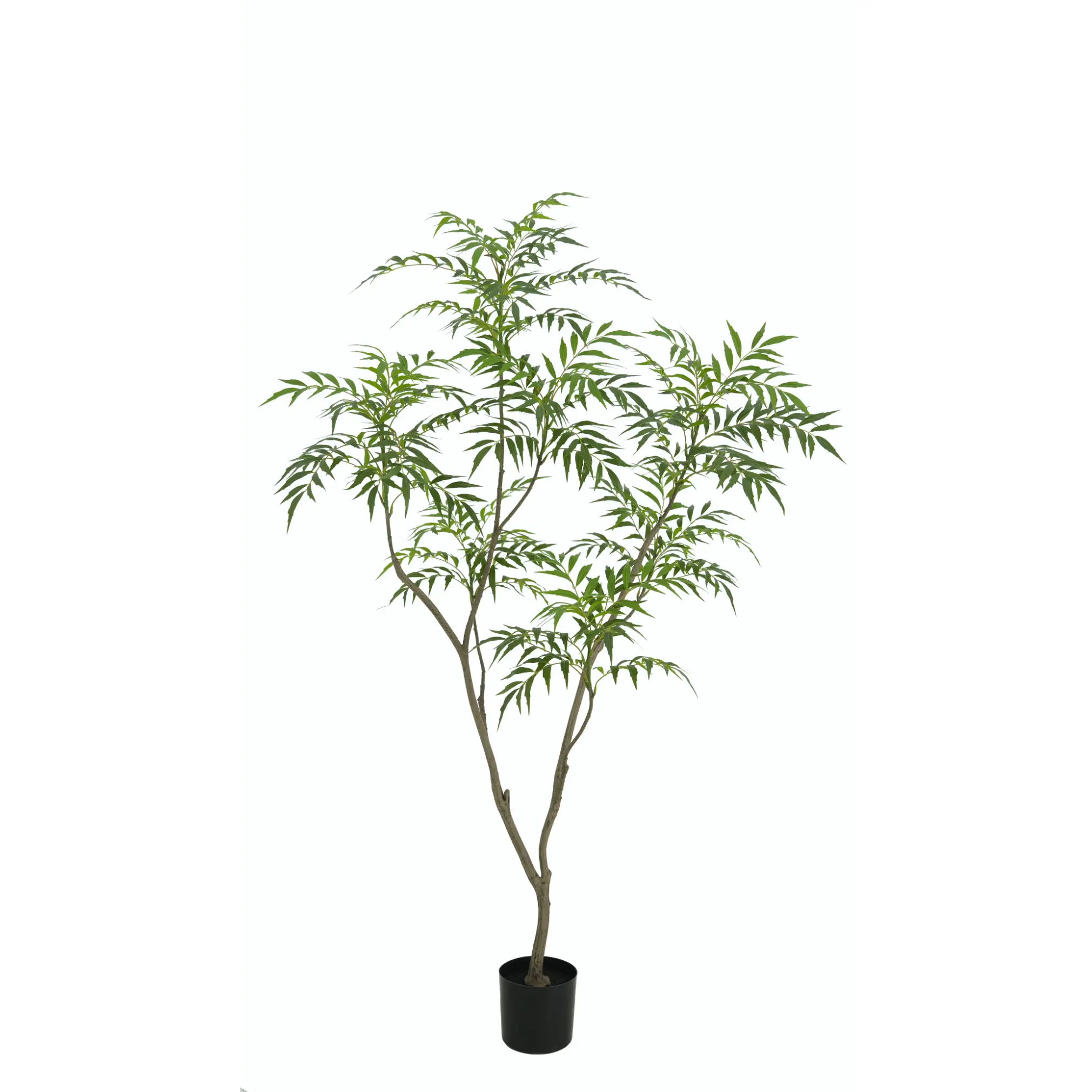 Bamboe boom - H150 cm