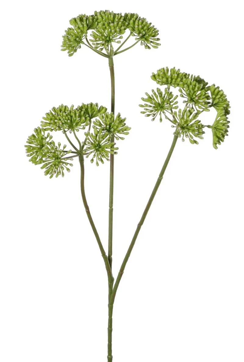 Berenklauw groen - H83 cm