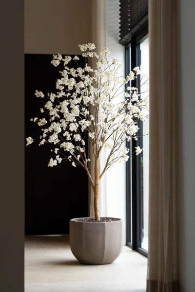 Kunst bloesemboom