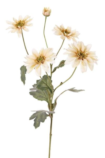 kunst chrysant