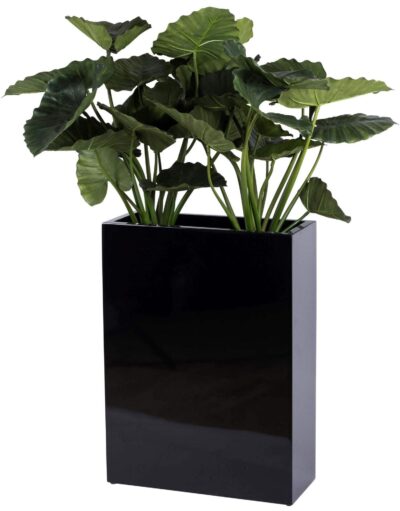 smalle brede plantenbak zwar