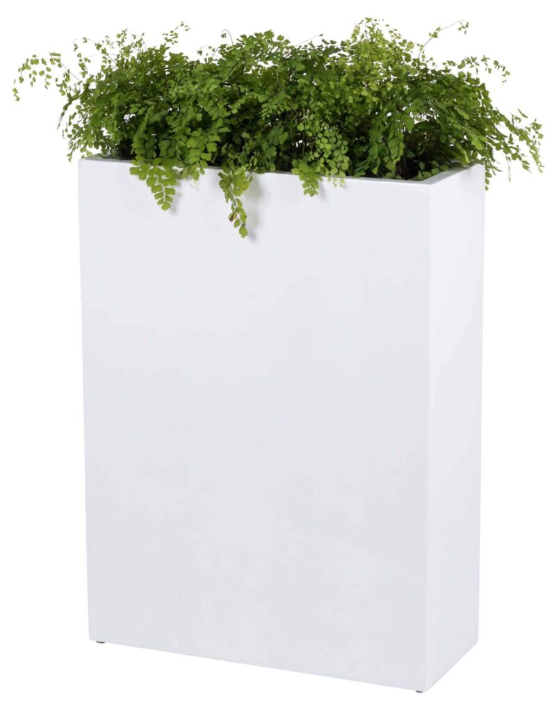 smalle brede plantenbak wit
