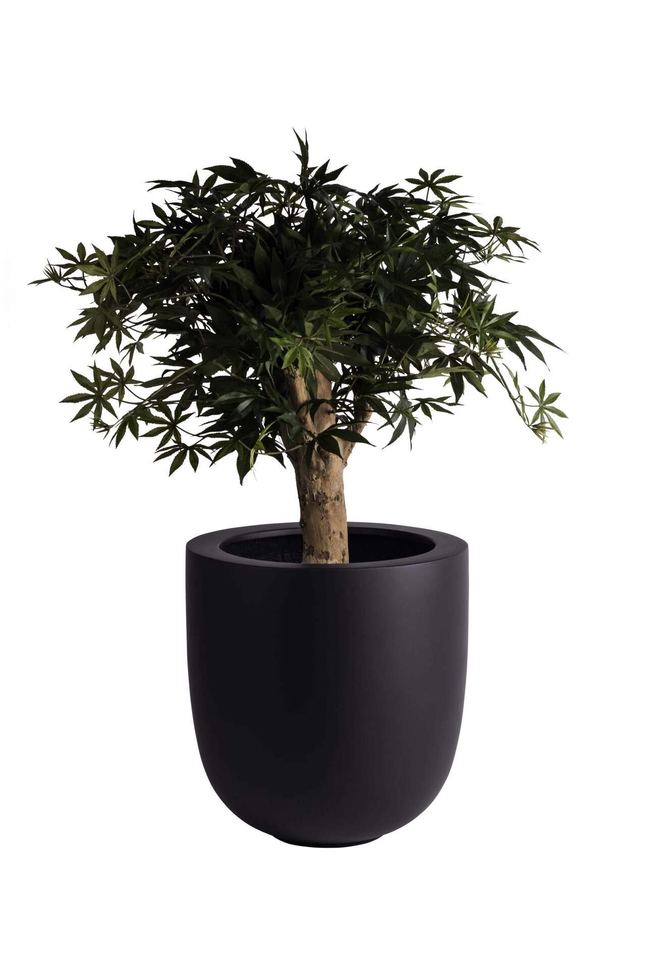 zwarte grote bloempot