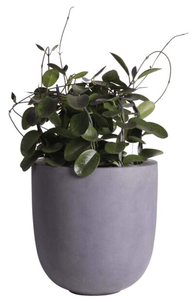 grijze grote bloempot