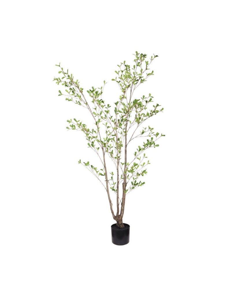 Kunstplant Seren Leaf 150 cm