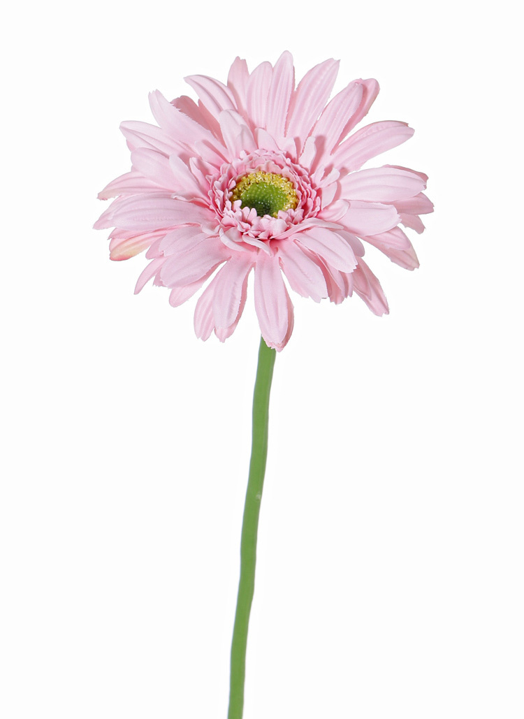 Gerbera licht roze 63 cm