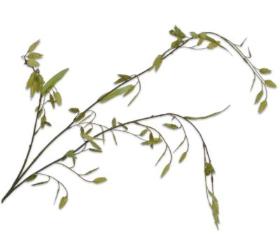 gras tak groen nepbloem