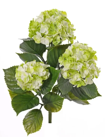 kunst hortensia