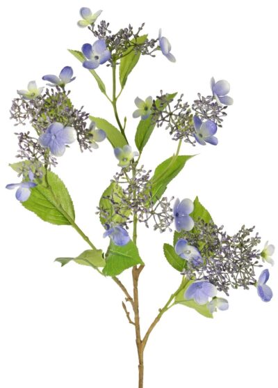 Hortensia hydrangea 78 cm
