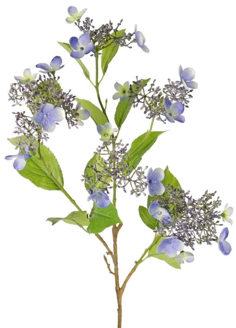 Hortensia hydrangea 78 cm