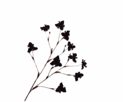 Iris tak bordeaux 125 cm Silk-ka
