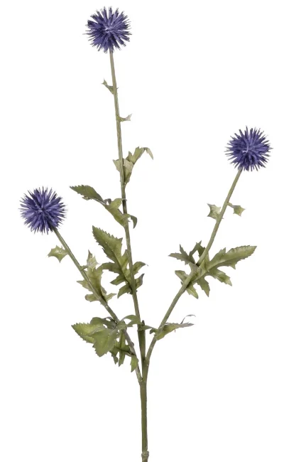 kogeldistel blauw