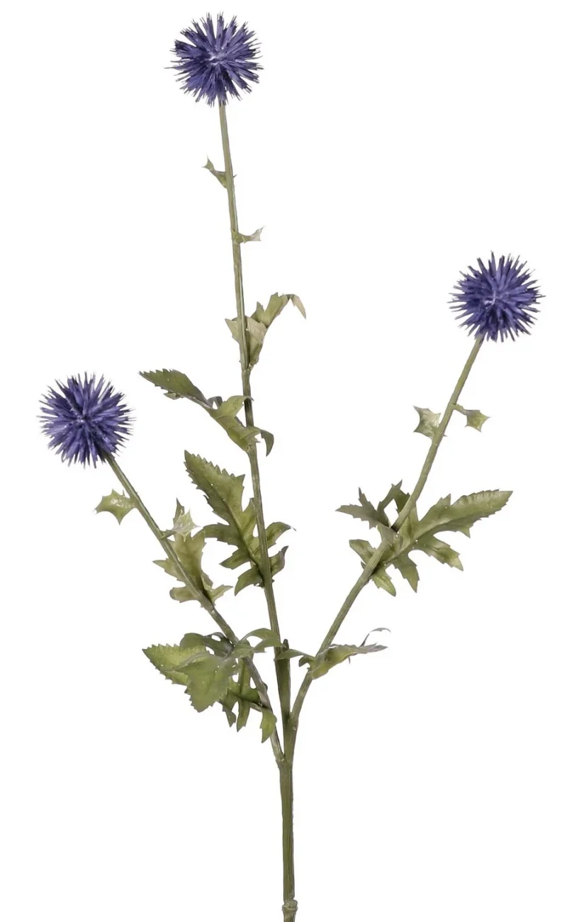 kogeldistel blauw