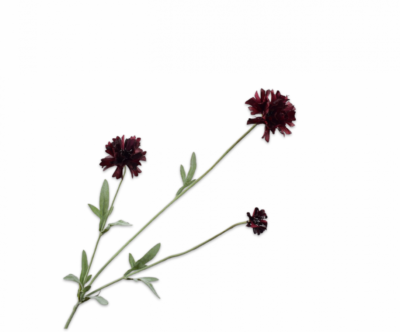 Korenbloem tak bordeaux paars 65 cm Silk-ka