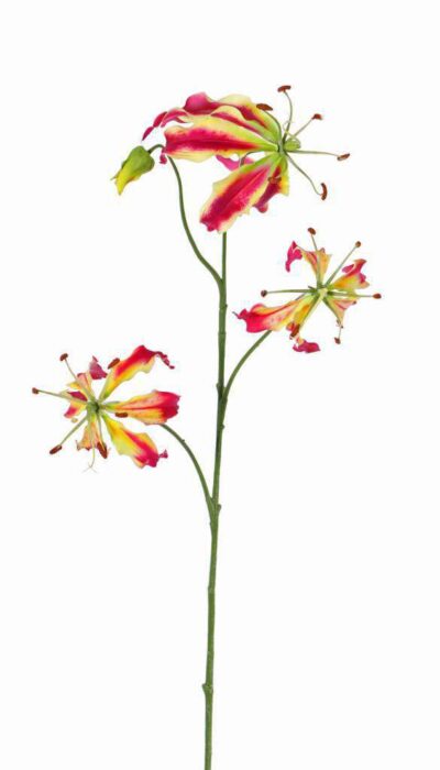 kunst gloriosa