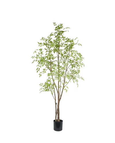 Nandina boom - H210 cm