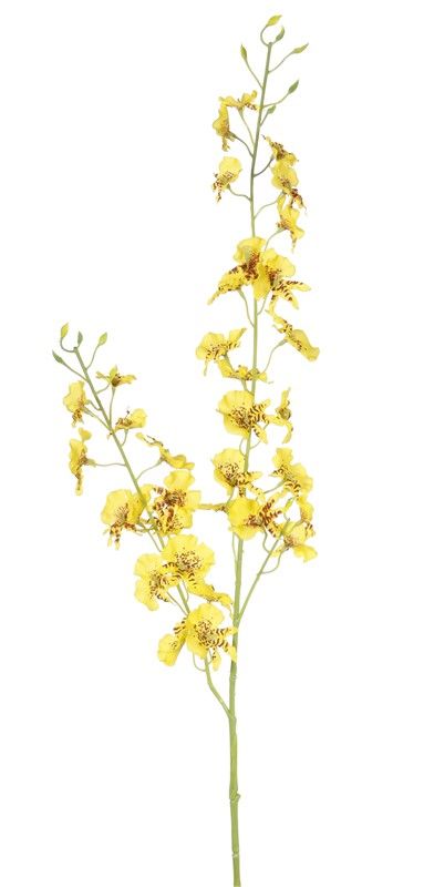 kunst orchidee