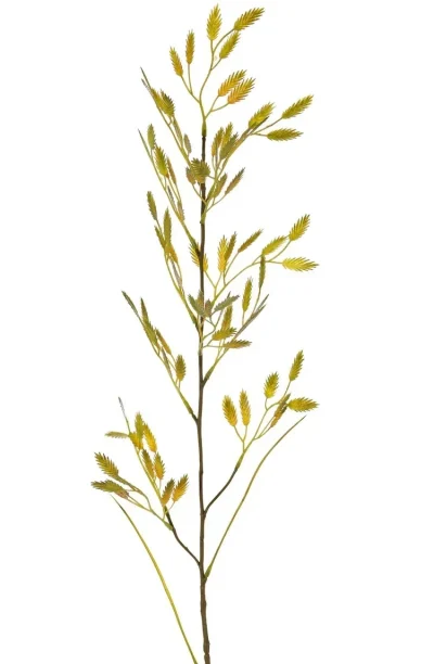 Gras groen - H98 cm