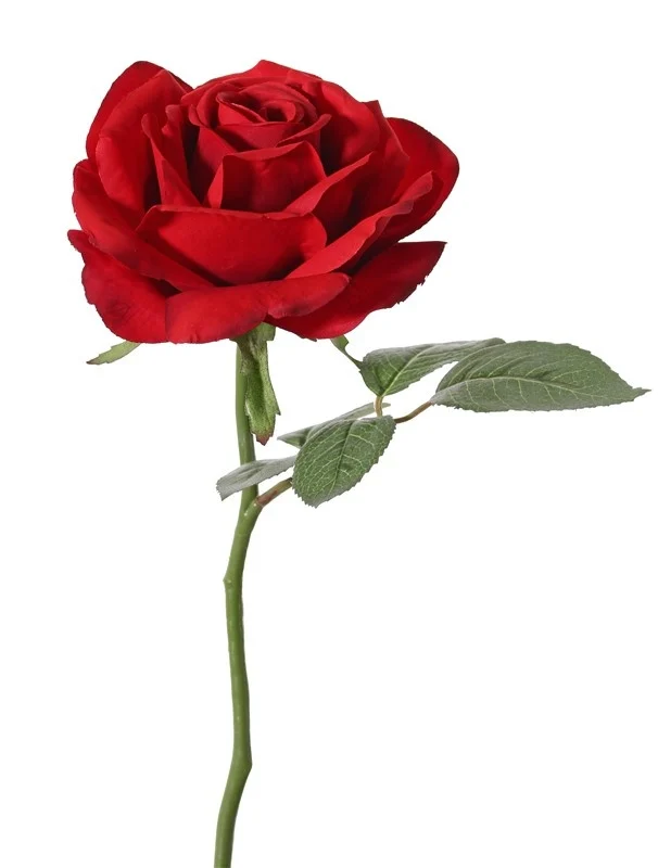 kunst roos rood