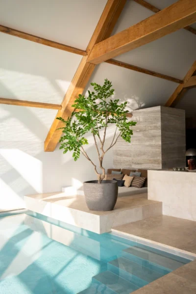 sandal wood boom