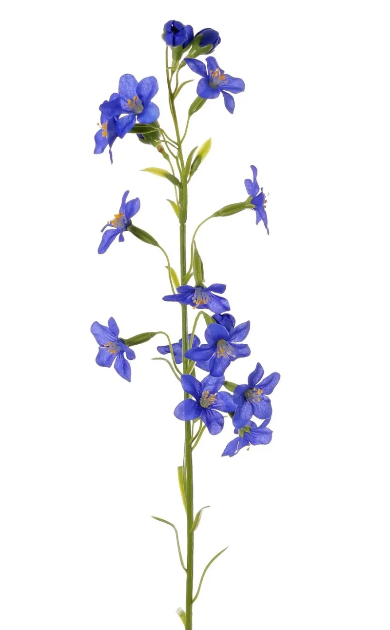 Bruidsbloem blauw - 65 cm