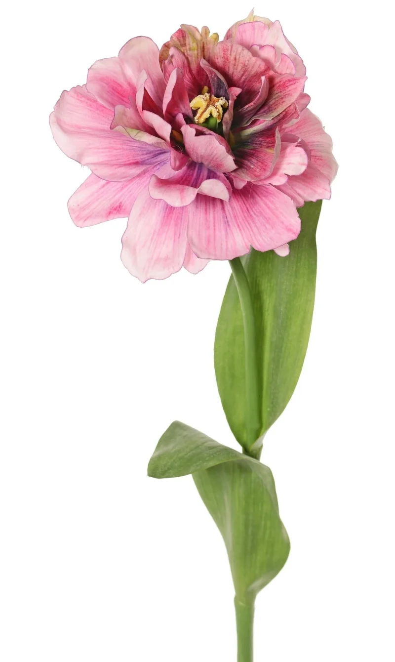 Tulp groot bloemig roze/paars H64 cm
