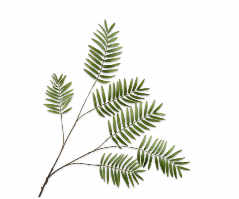 Varen tak groen 121 cm Silk-ka