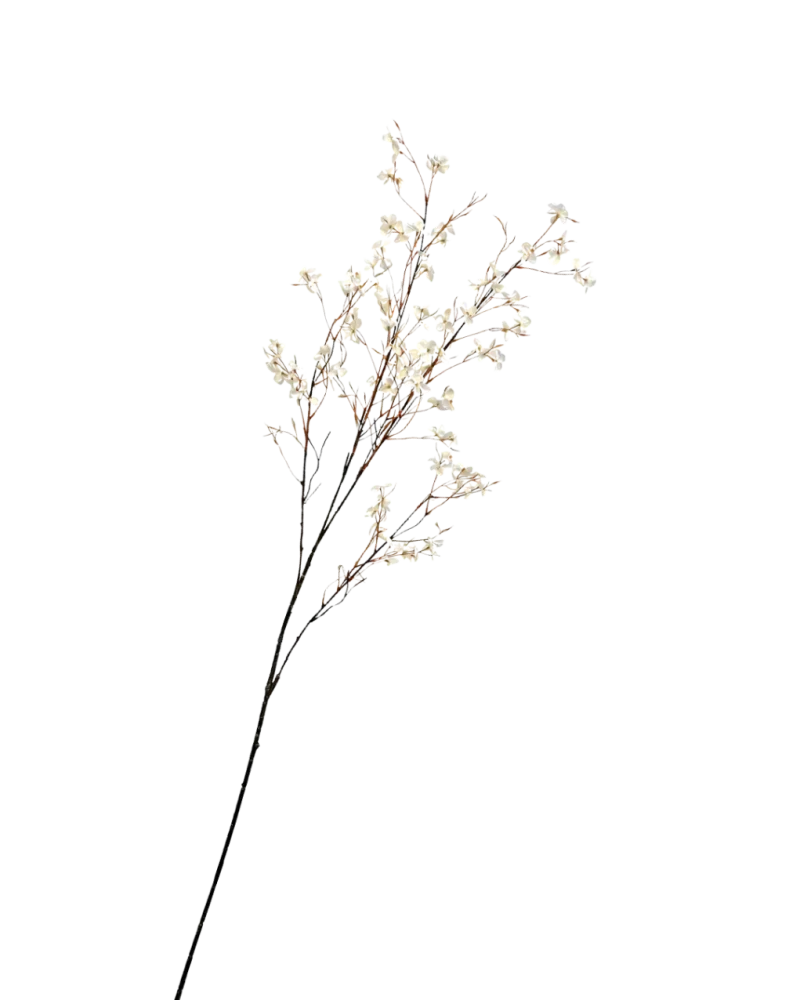 Bloesem tak creme - H132 cm