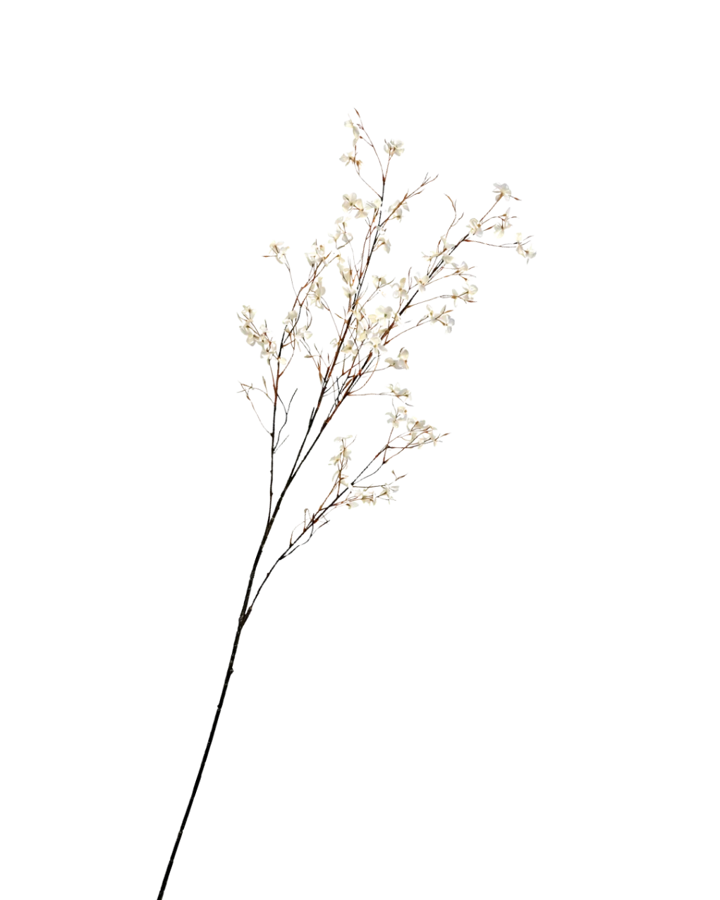 Bloesem tak creme - H132 cm