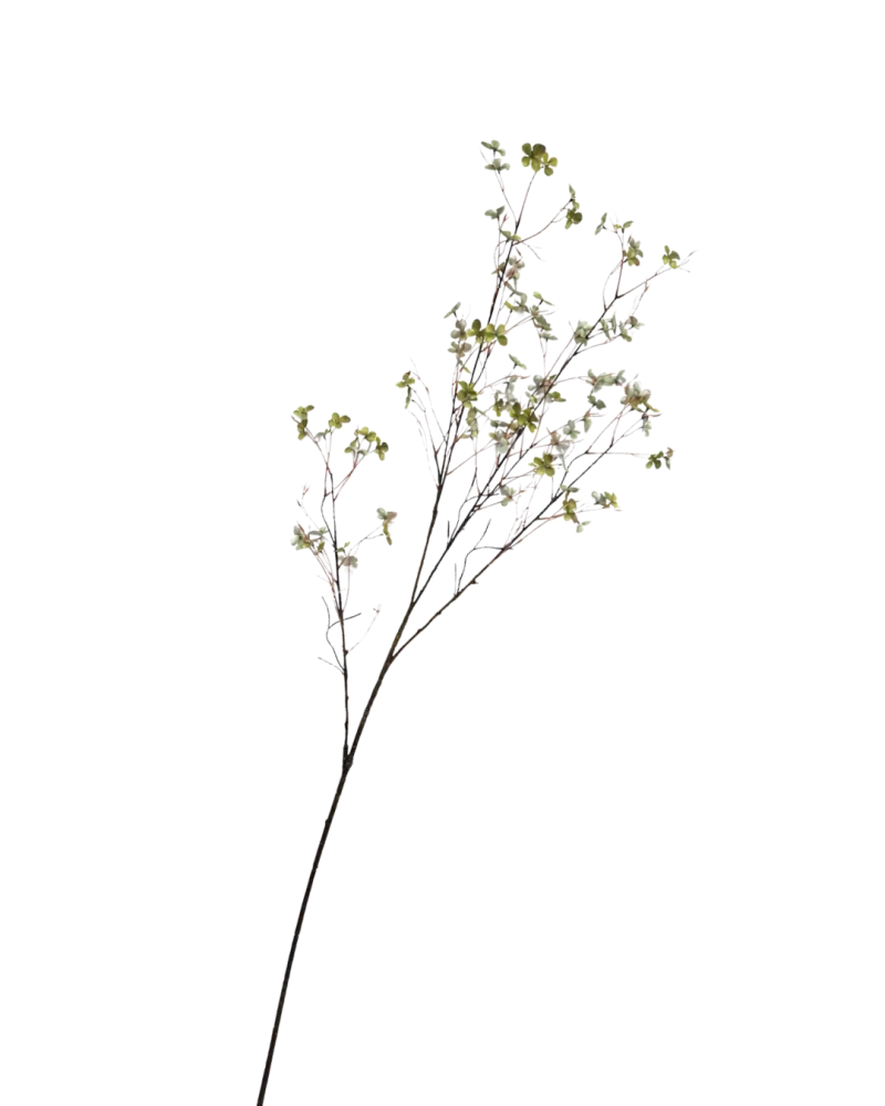 Bloesem tak groen - H132 cm