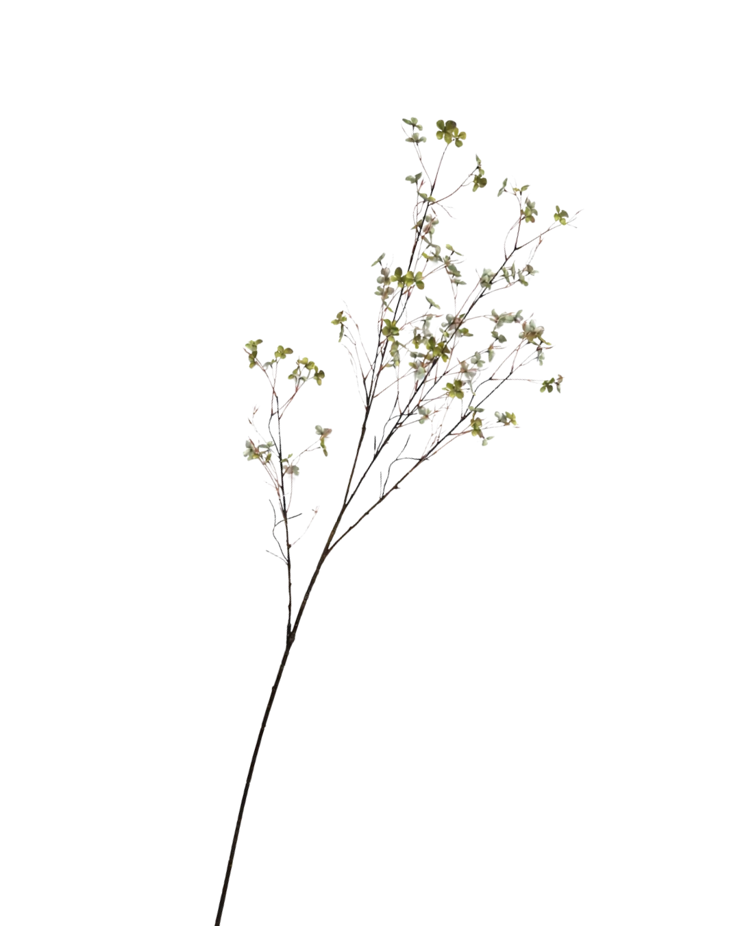 Bloesem tak groen - H132 cm
