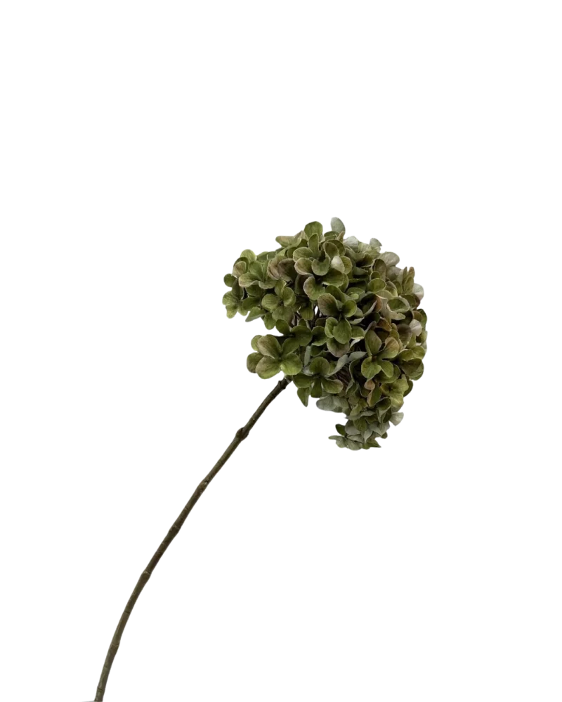 Hortensia groen - H65 cm