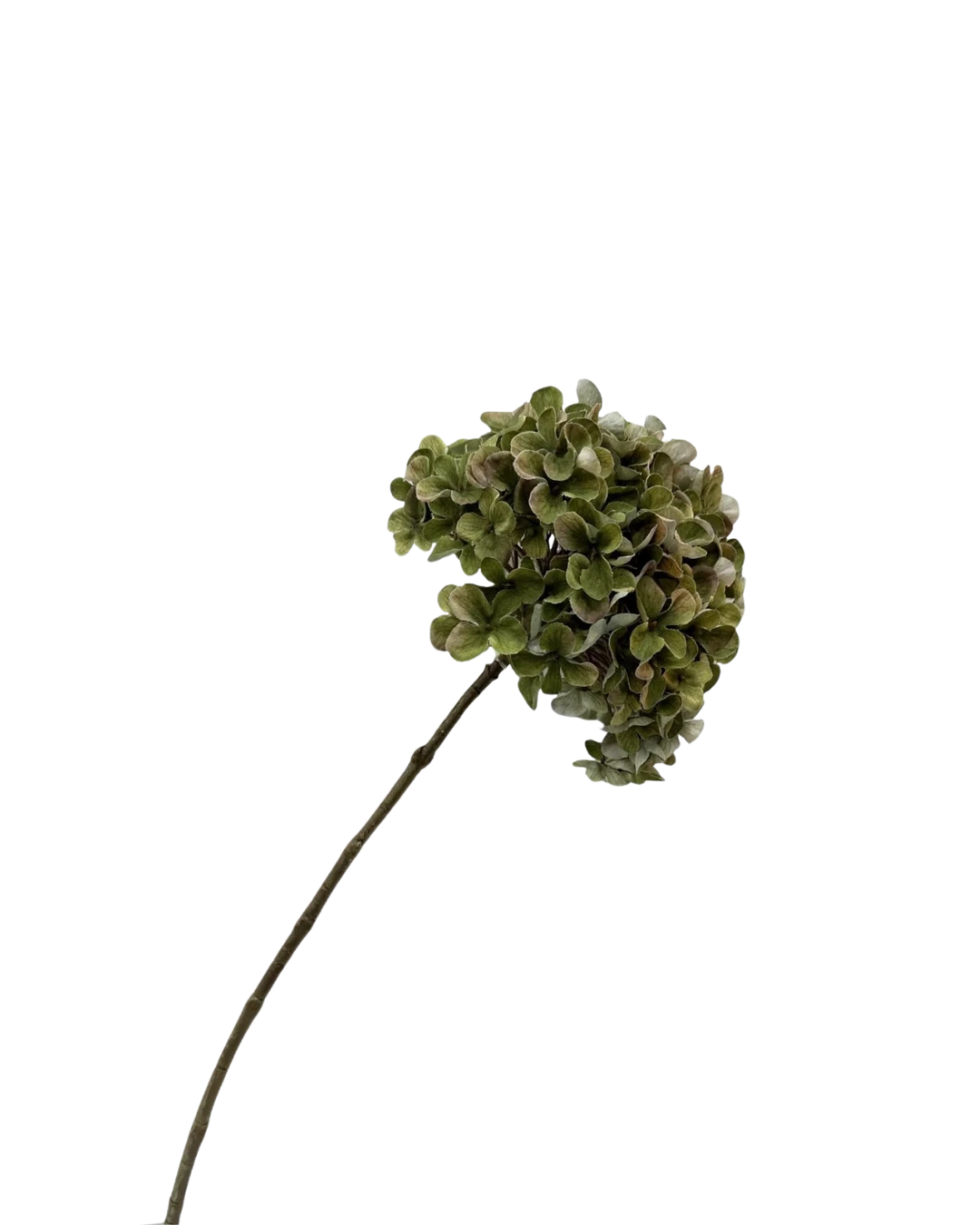 Hortensia groen - H65 cm
