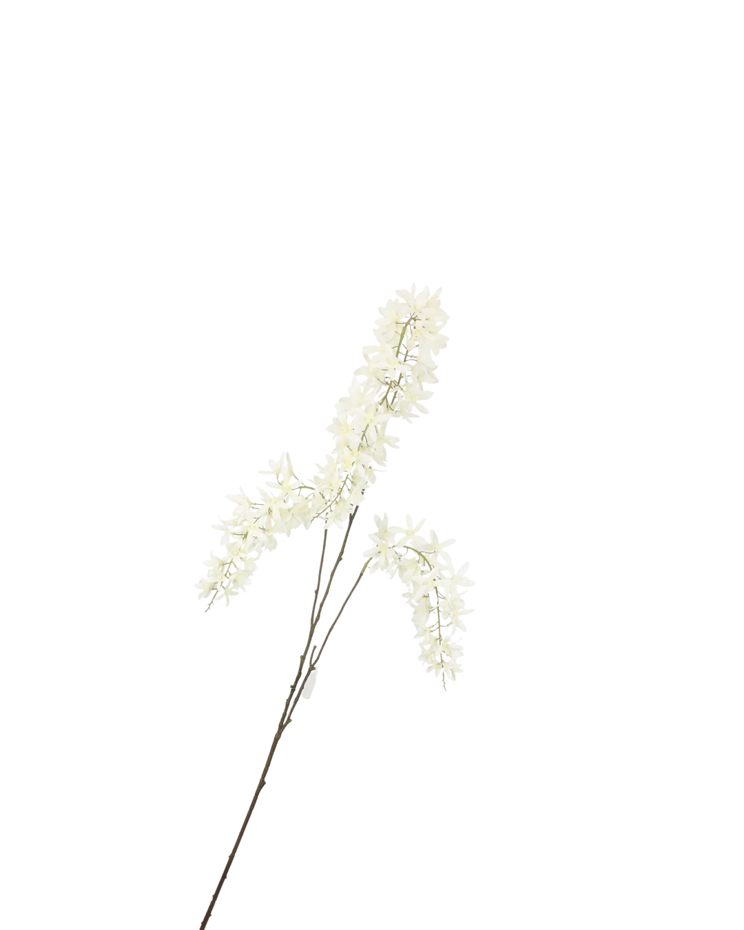 kunstbloem wisteria tak wit creme blauwe regen - H110 cm