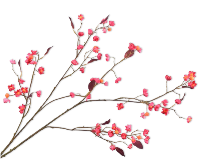 Bessentak roze oranje - Silk-ka - H122 cm