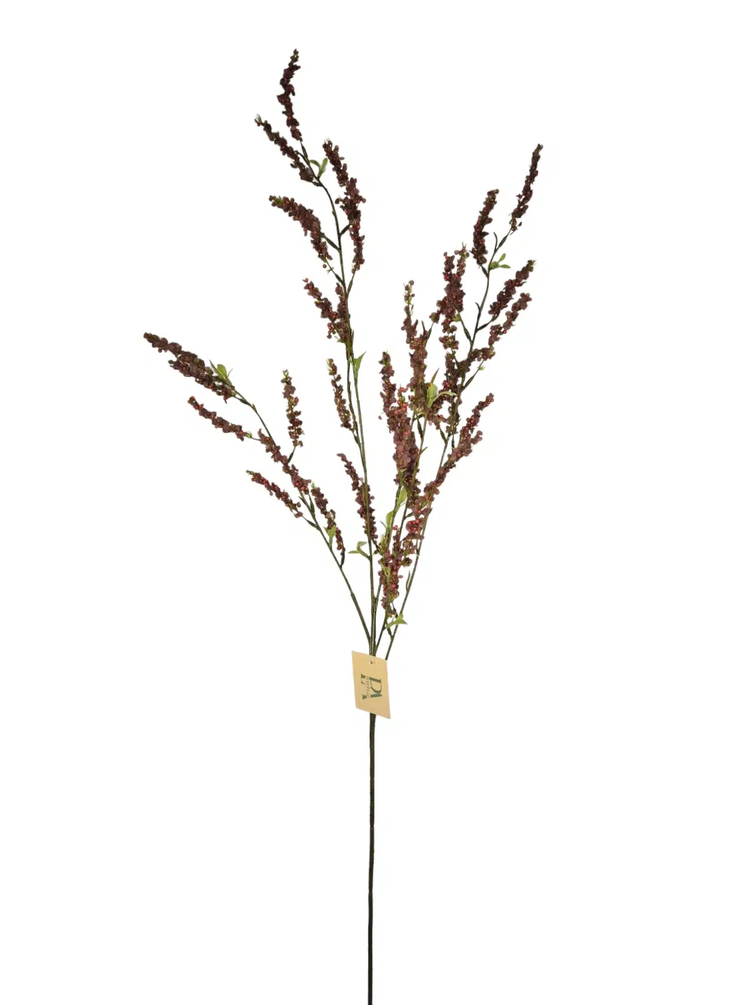 Bruidsbloem bordeaux - H107 cm