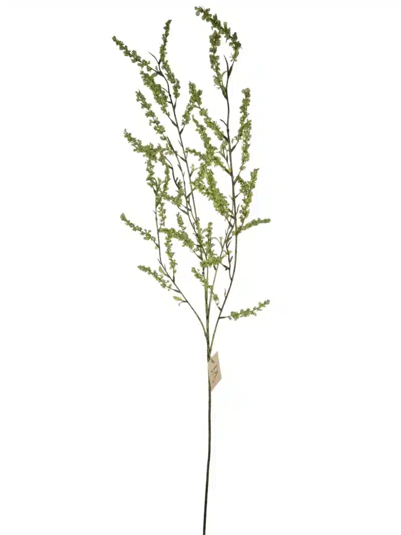 Bruidsbloem groen - H110 cm
