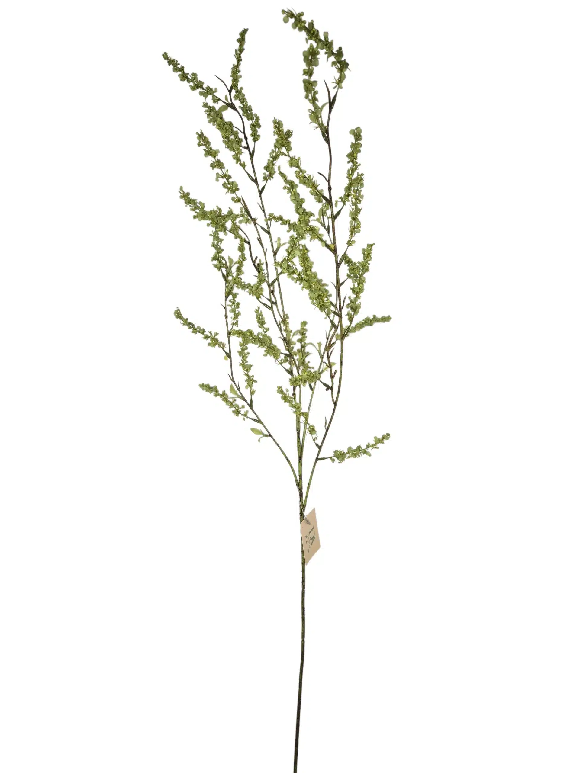 Bruidsbloem groen - H110 cm