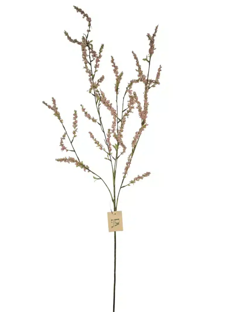 Bruidsbloem oud roze - H110 cm