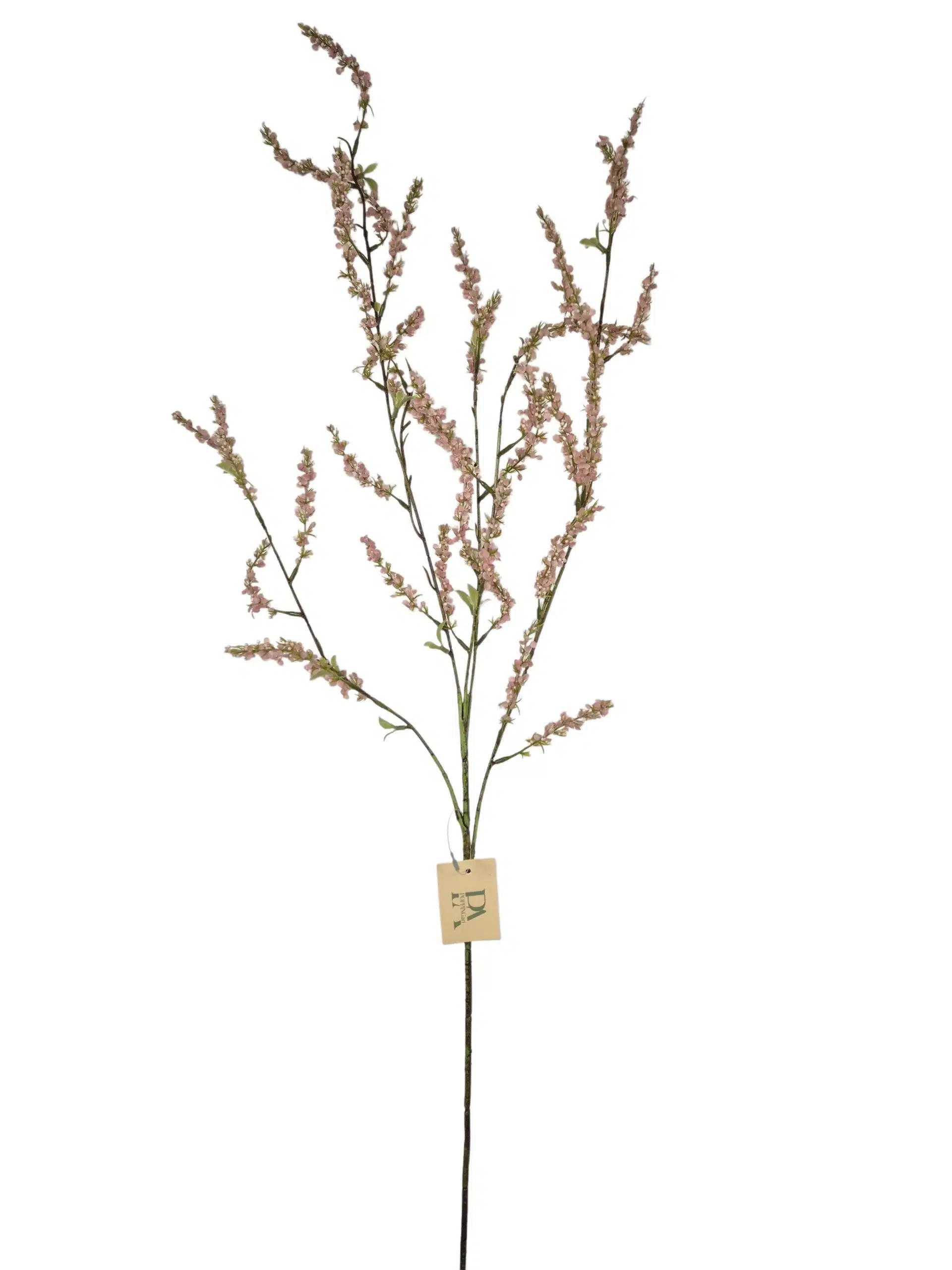Bruidsbloem oud roze - H110 cm