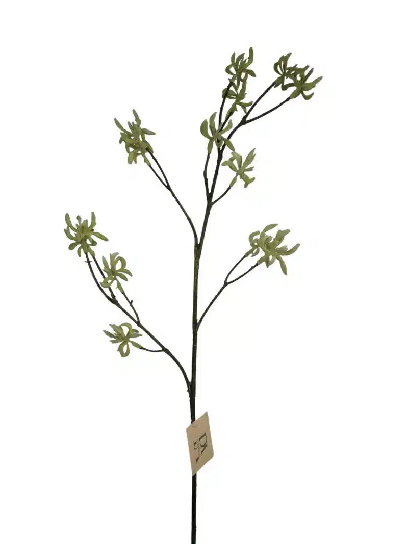 Kangoeroepoot zacht groen - H71 cm